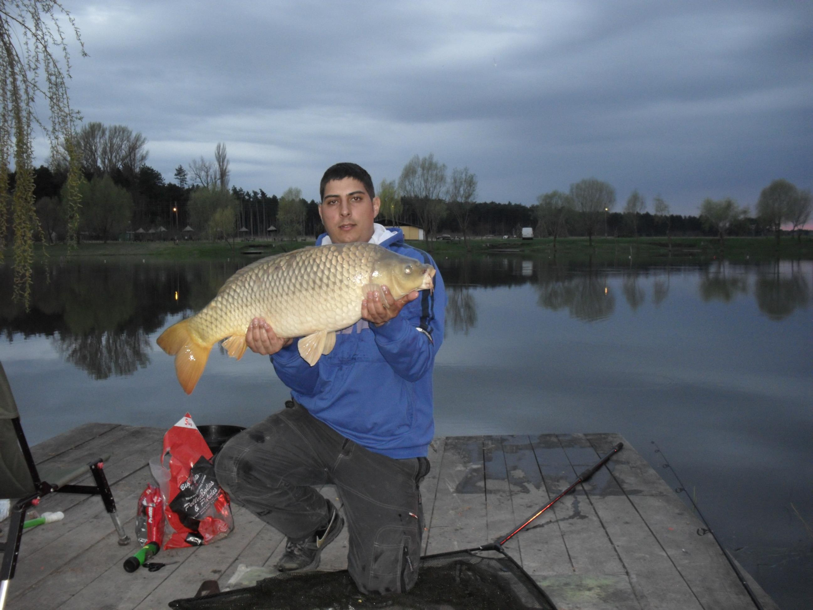 Palic 2012 primavara - SAM_0615.JPG